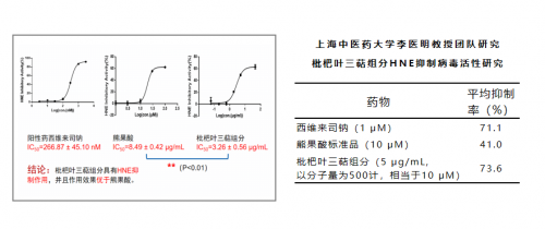 上海中医药大学李医明团队发现“天然HNE抑制剂”枇杷叶五环三萜酸类